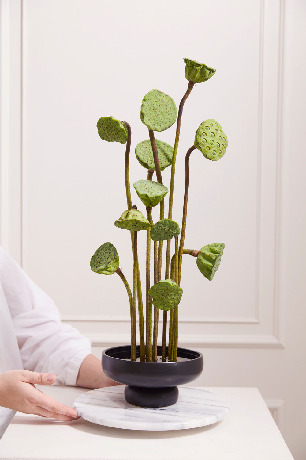 nightingale plant seeds nightingale compote – Bulb & Blossom