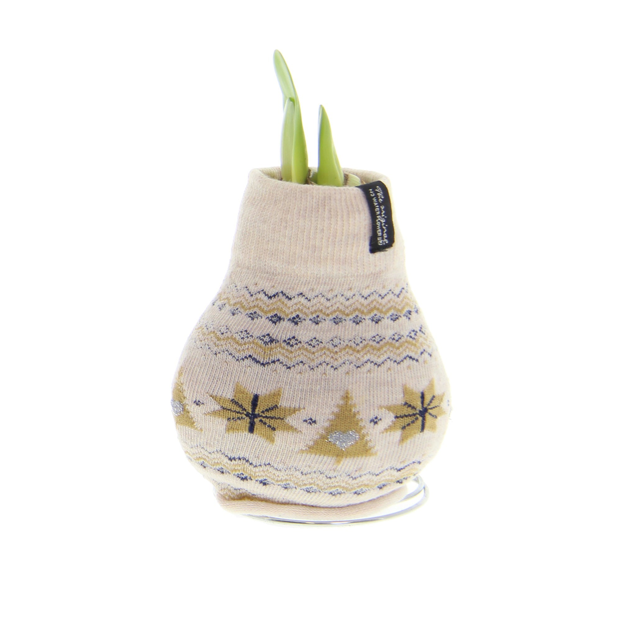 A waxed amaryllis bulb with a sweater covering in cream color with white nordic-style pattern. Green amaryllis buds emerge from the neck of the bulb.