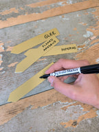 Bulb & Blossom's exclusively designed reusable metal plant stakes in gold are an easy way to elevate your indoor plant display.