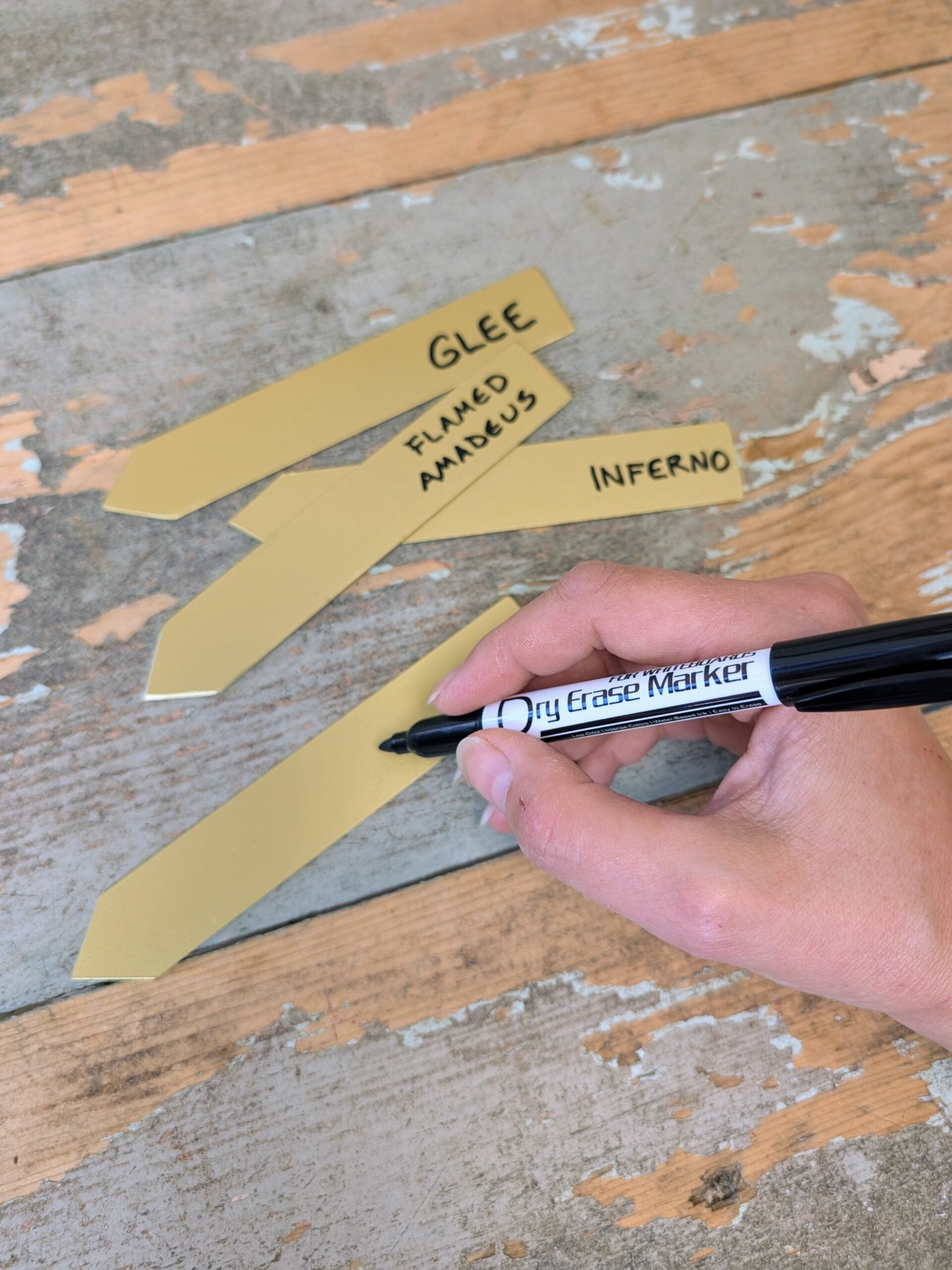 Bulb & Blossom's exclusively designed reusable metal plant stakes in gold are an easy way to elevate your indoor plant display.