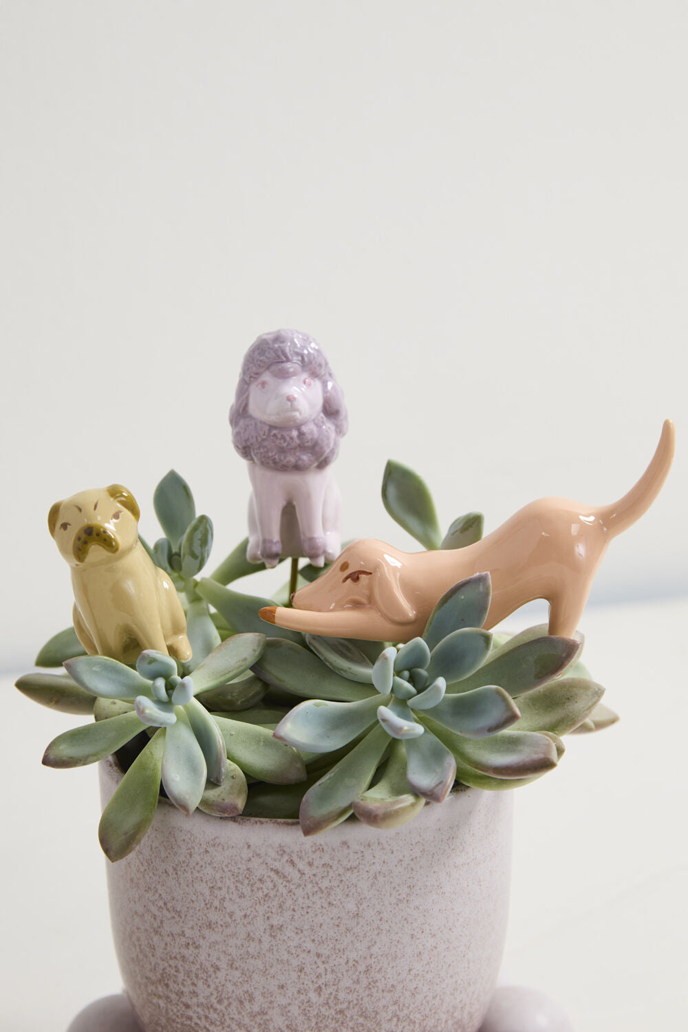 Decorative pot with succulents and ceramic dog figurines on a light background