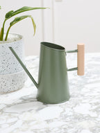 Green watering can on a marble surface with a plant in the background