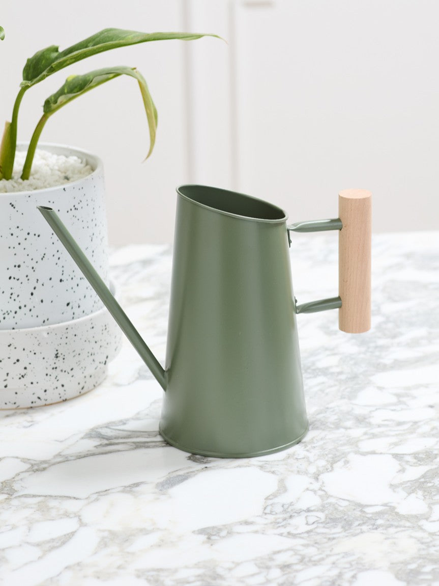 Green watering can on a marble surface with a plant in the background