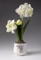 Purple Flower Crown Ceramic Pot