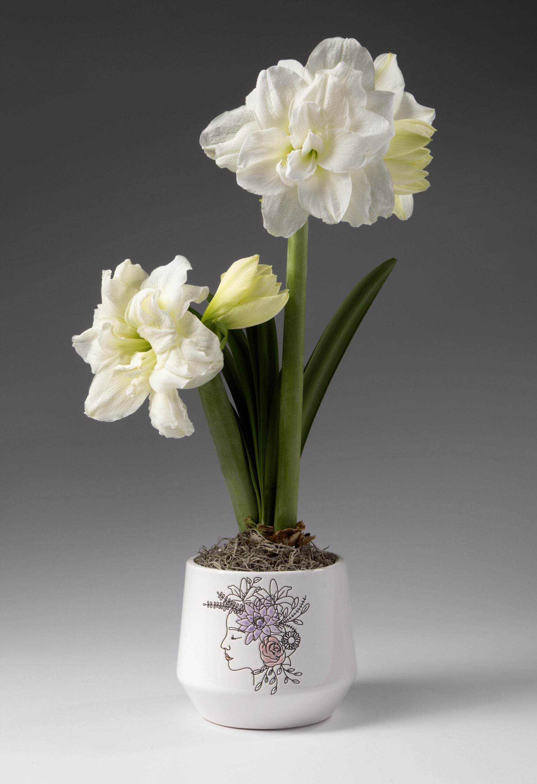 Purple Flower Crown Ceramic Pot