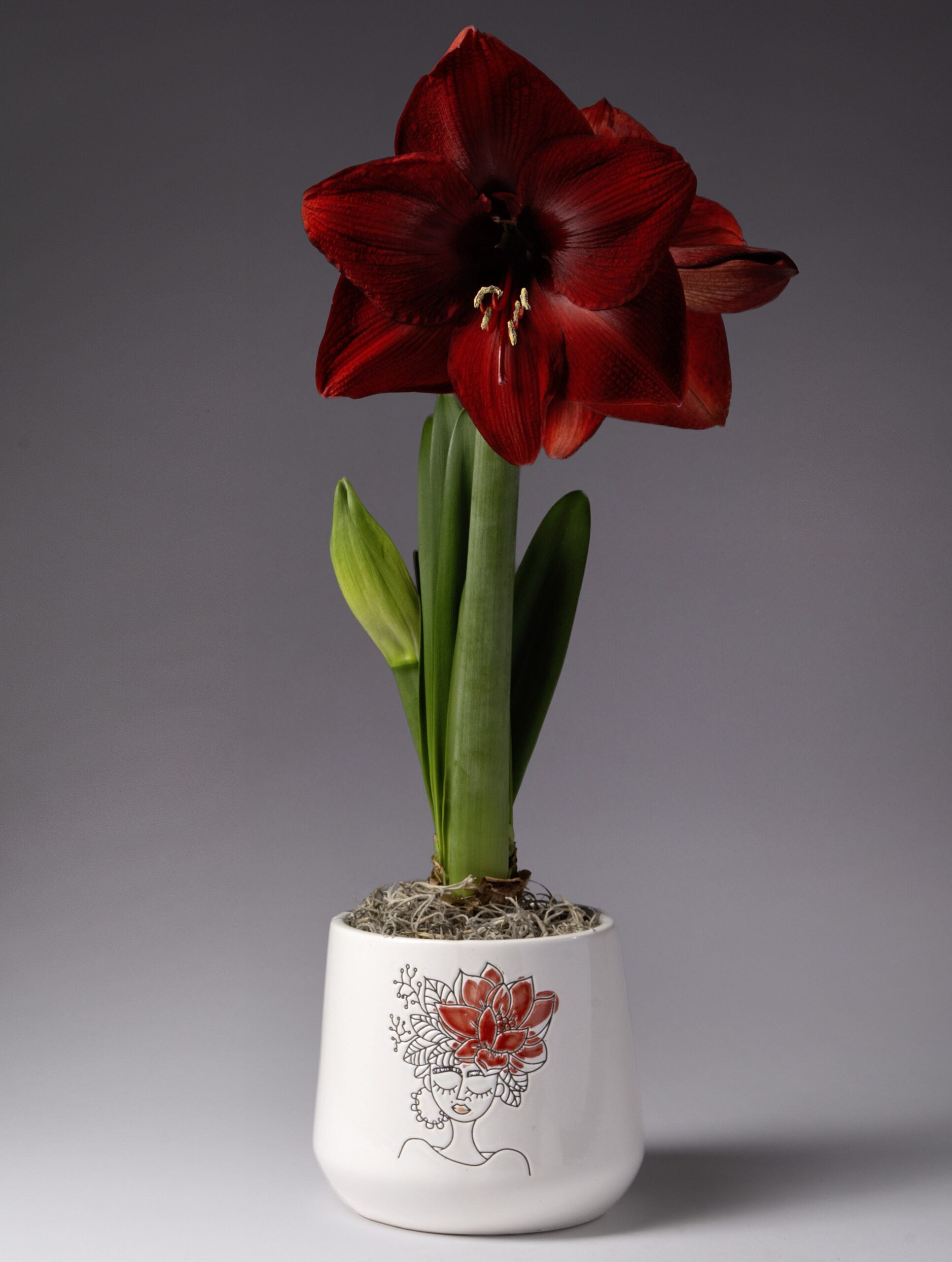 Red Flower Crown Ceramic Pot