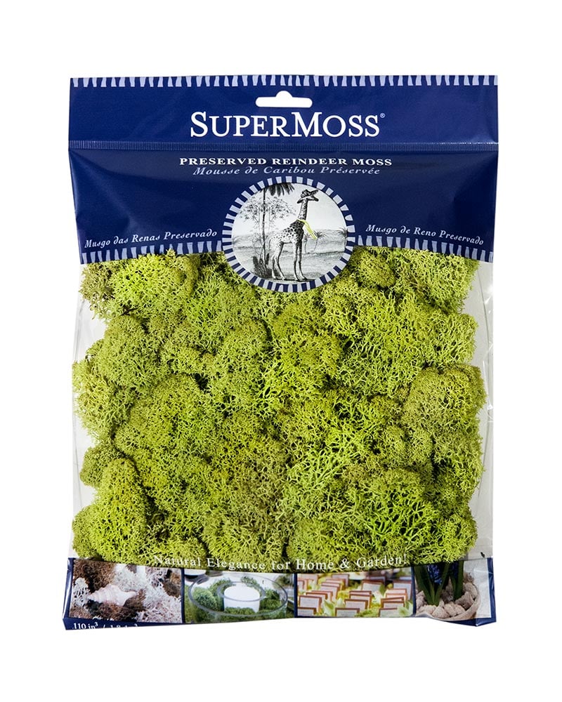 A blue and transparent package labeled "Reindeer Moss" featuring green moss. The package includes small images demonstrating the moss in various home and garden decor applications, alongside innovative uses such as Compressed Coconut Coir for versatile design possibilities.