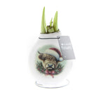 A white waxed amaryllis bulb featuring an image of a highland cow wearing a santa hat. Green amaryllis sprouts are emerging from the neck of the bulb.
