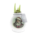 A white waxed amaryllis bulb featuring an image of santa claus wearing a santa hat. Green amaryllis sprouts are emerging from the neck of the bulb.