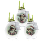 Three white waxed amaryllis bulbs featuring images of santa claus, a reindeer, and a highland cow all in santa hats. Bulbs are arranged in a pyramid and green amaryllis sprouts are emerging.