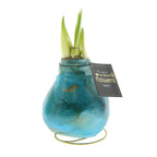 A wax-covered bulb plant with green shoots emerging from the top, the Waxed Amaryllis Bulb Trio - Saturn Swirl features bulbs painted in shades of blue and housed in small green wire stands. A black tag attached to each bulb reads "The Original No Water Flowers Waxz.
