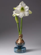 Seeded Glass Bulb Forcing Vase