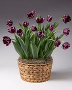A basket of dark burgundy tulips with green leaves and stems, arranged in a woven natural fiber pot with mulch, photographed against a neutral gray studio background.