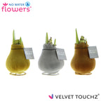 Three Waxed Amaryllis Bulbs from the Metallic Velvet collection are elegantly wrapped in soft flocking and on display. These bulbs come in three distinct colors: gold, bronze, and silver. Each bulb features green sprouts emerging from the top and is labeled "No Water Flowers Velvet Touch®.