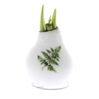 The Waxed Amaryllis Bulb Trio - Botanical Prints features a white wax-covered amaryllis bulb adorned with a green fern design on its front. Green amaryllis sprouts elegantly emerge from the top. The bulb is displayed against a plain white background, which accentuates its delicate beauty.