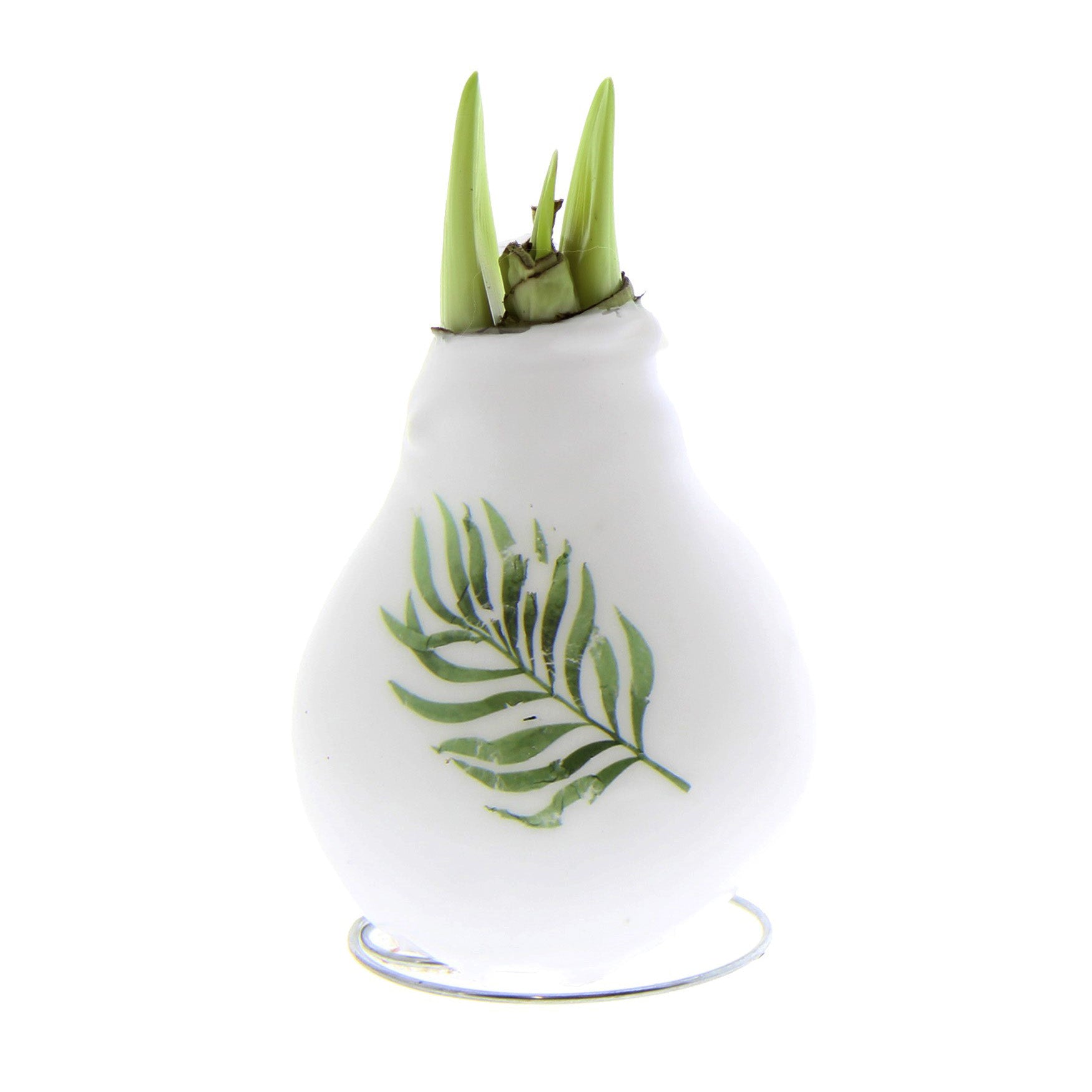 The Waxed Amaryllis Bulb Trio - Botanical Prints features a white wax-covered amaryllis bulb adorned with a green palm leaf design on its front. Green amaryllis sprouts elegantly emerge from the top. The bulb is displayed against a plain white background, which accentuates its delicate beauty.