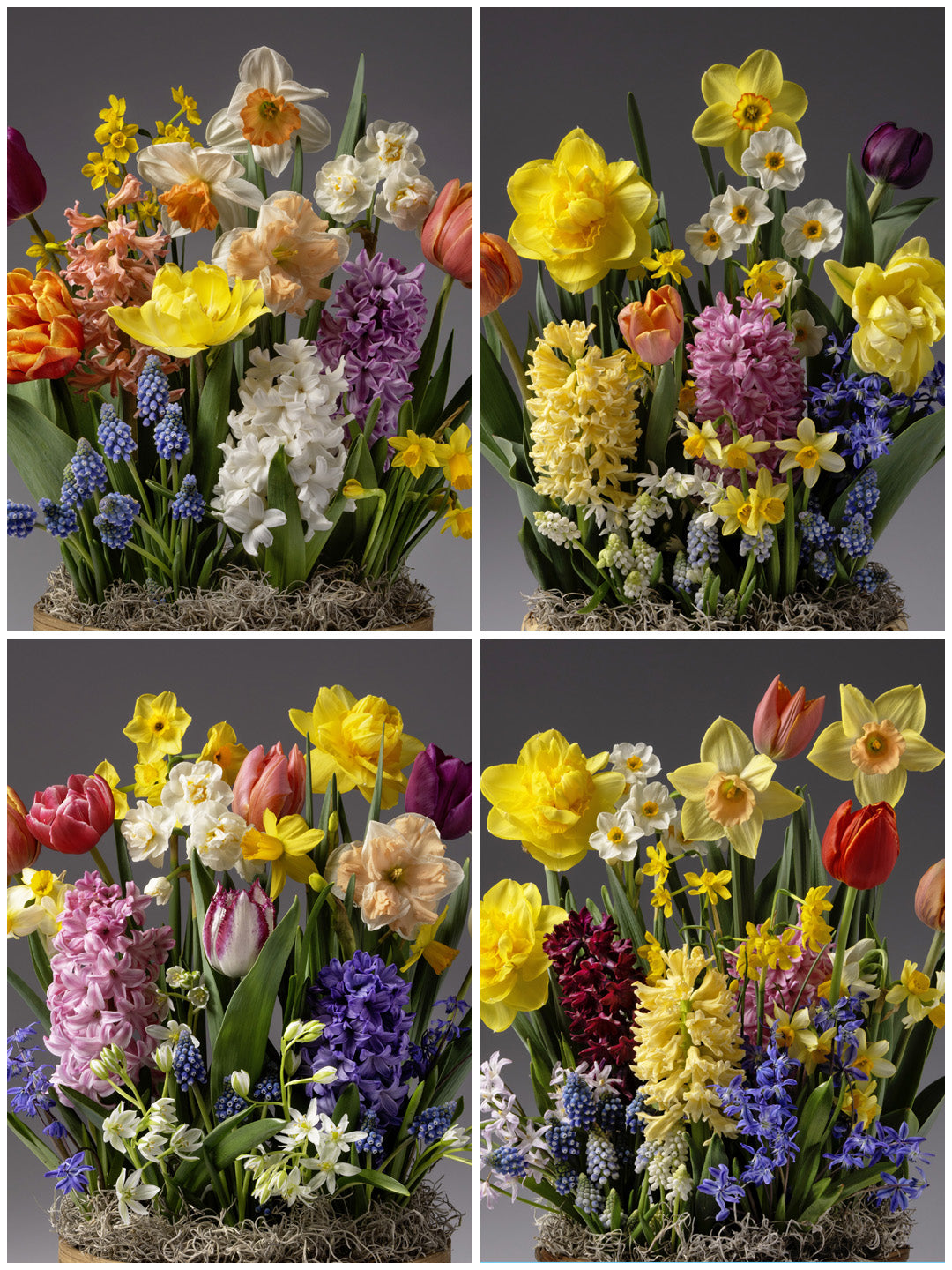 Four Months of Wild Spring Meadows Gardens