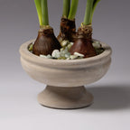 Forcing Stones - Light Green