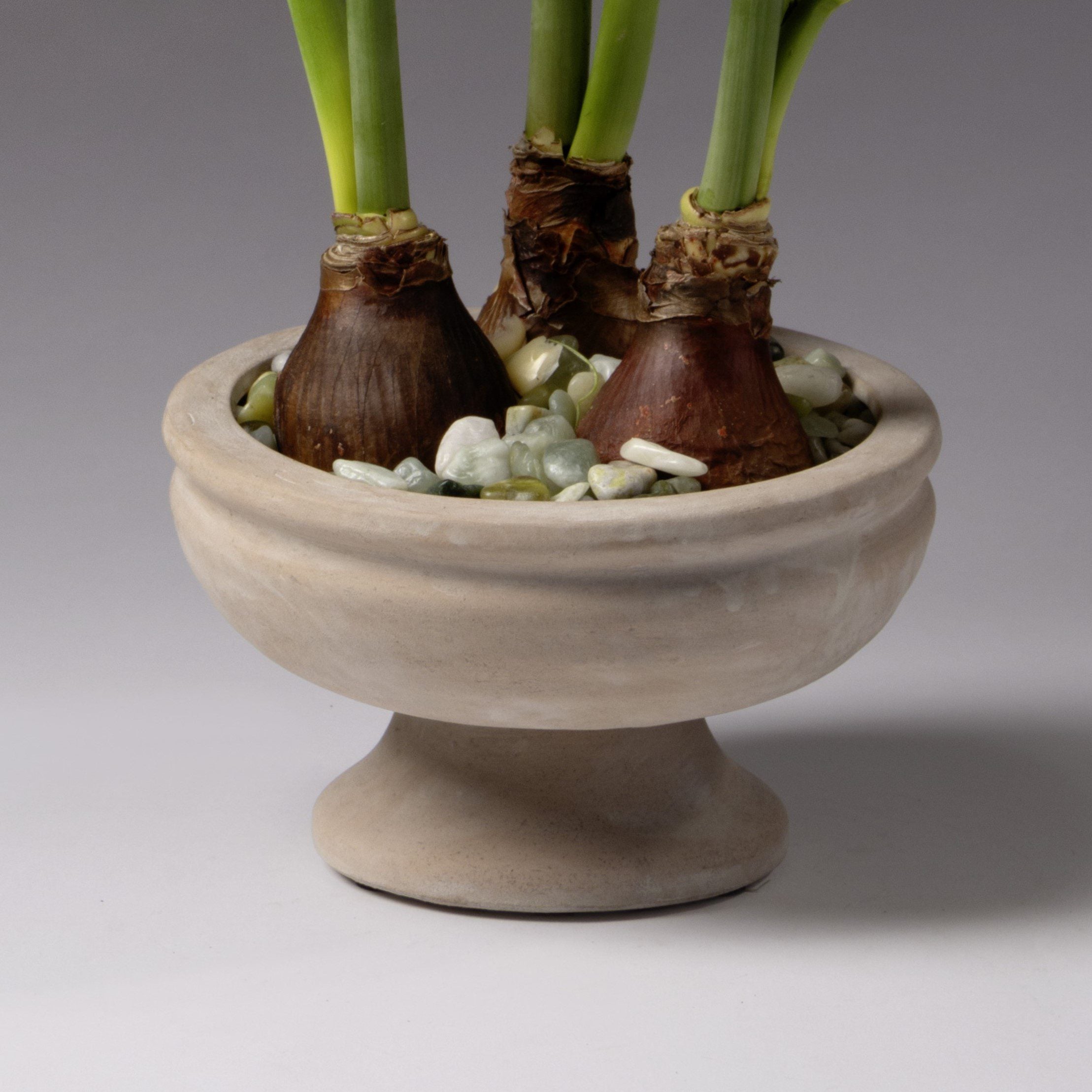 Forcing Stones - Light Green