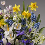The Woodland Fairy Mixed Bulb Garden features spring flowers—yellow daffodils, white crocuses, blue grape hyacinths, and purple anemones—beautifully arranged against a neutral gray background.