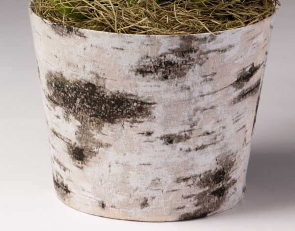 6" White Birch basket