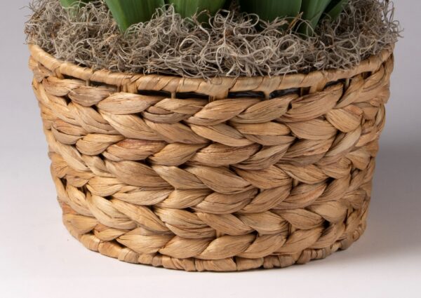 8" Hyacinth woven basket.