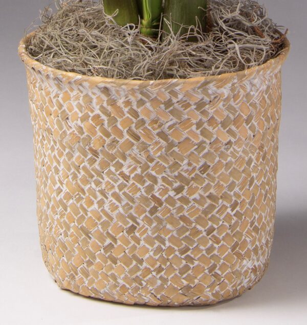 6" whitewash seagrass basket.