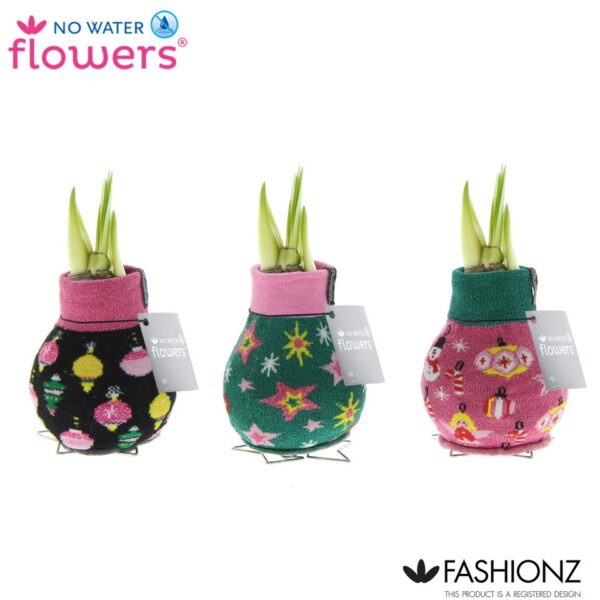 The Waxed Amaryllis Bulb Trio - Retro Christmas Sweaters includes three decorative waxed bulbs with shoots, each wrapped in a festive sweater. The left cover is black with colorful ornaments, the middle cover is green with stars, and the right cover is pink adorned with candy canes and snowflakes. The image showcases the "No Water Flowers" and "Fashionz" logos.