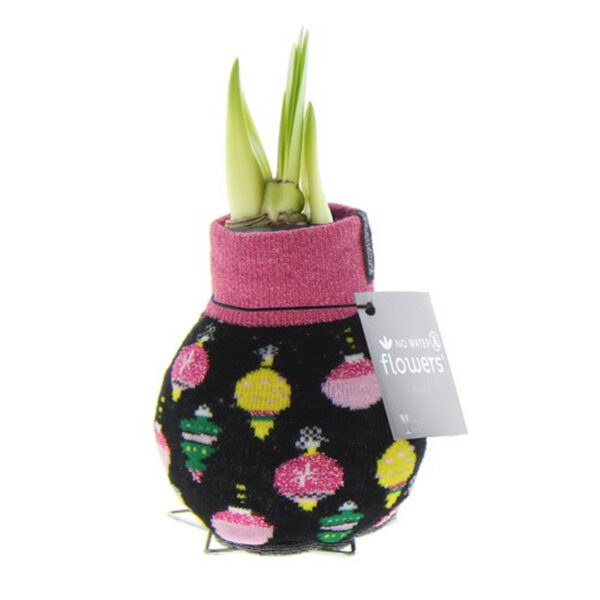 A waxed Amaryllis bulb, featuring green shoots emerging, is wrapped in a black cozy decorated with colorful ornaments and a pink top. A gray tag attached reads "NO WATER flowers." The ensemble is supported by a small metal stand and belongs to the Waxed Amaryllis Bulb Trio - Retro Christmas Sweaters collection.