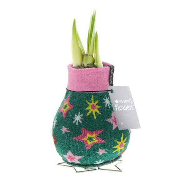 The Waxed Amaryllis Bulb Trio - Retro Christmas Sweaters features bulbs with emerging green shoots, each adorned in a festive pink and green knitted sweater with star and snowflake patterns. The bulbs sit on metal stands and have tags attached to them.