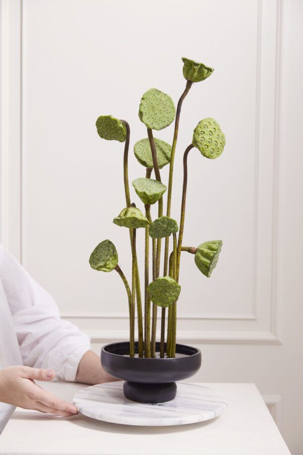 Nightingale Compote - Image 4