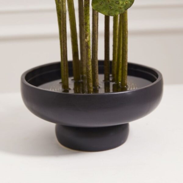 Nightingale Compote - Image 2