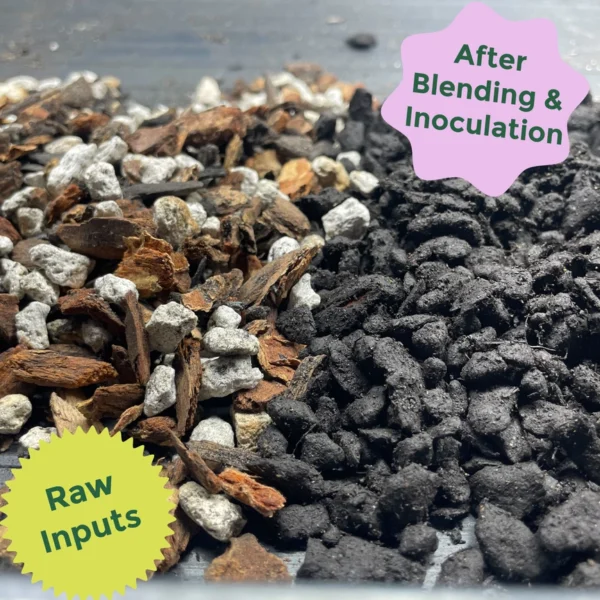 Close-up of two piles: on the left, coarse raw plant and rock materials labeled "Raw Inputs"; on the right, a blended dark mixture labeled "Rosy Soil Cactus & Succulent Mix," ideal for amaryllis potting soil.