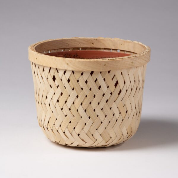 The Diamond Woven Bamboo Wicker Basket is a round, light-colored basket with a sturdy rim and eye-catching diamond weave, perfect for stylish plant display. It’s empty and set against a neutral background.