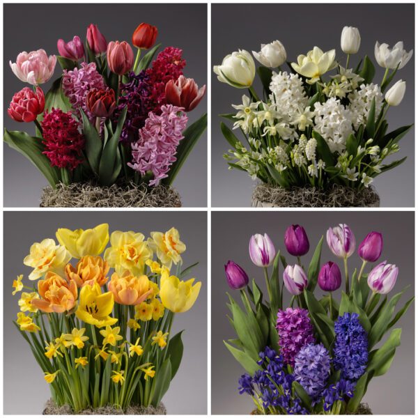 Four Months of Color Story Gardens