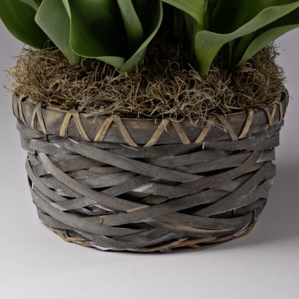 Rustic Woven Grey Wicker Basket 8in