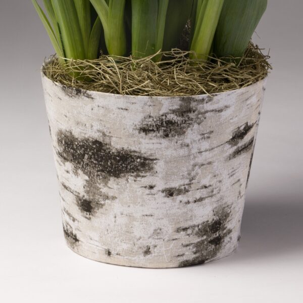 Natural White Birch Pot Cover 7in