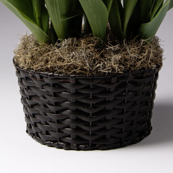 A close-up of the Dark Brown Resin Wicker Basket 8in, a stylish plant container filled with green leaves and topped with dried moss, set against a neutral background.